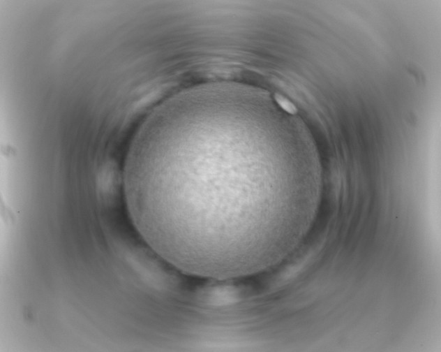 X0000091200228200708091312