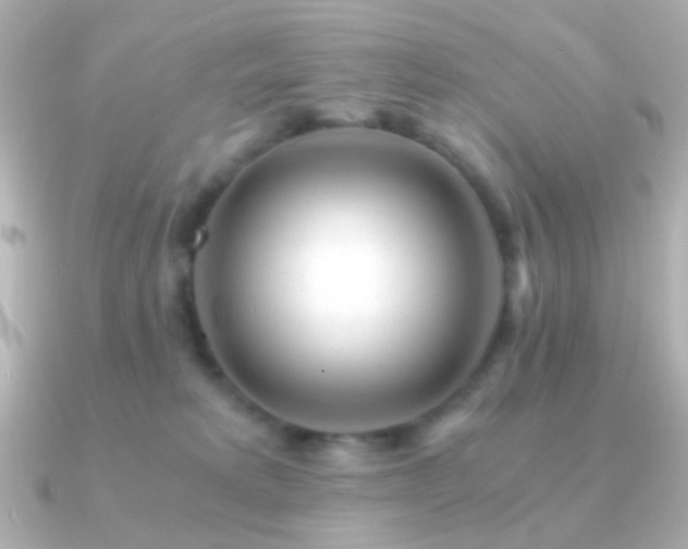 X0000091200229200708091312