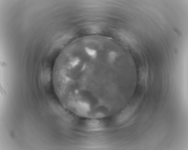 X0000091200230200708091312