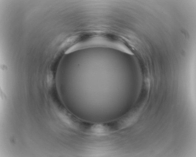 X0000091200231200708091312