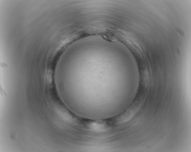 X0000091200232200708091312