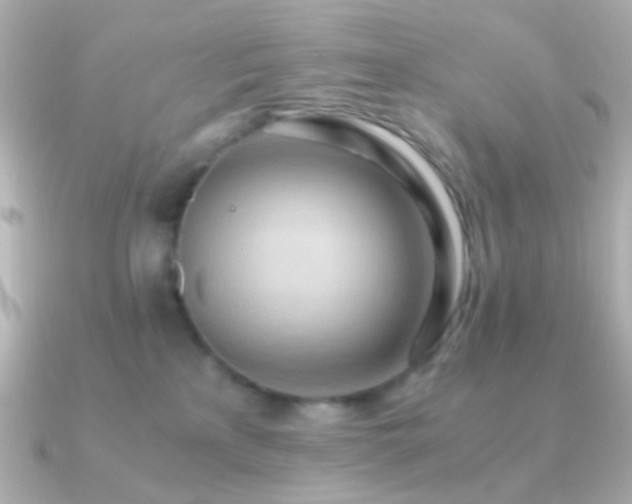 X0000091200233200708091312