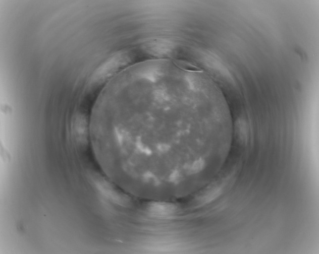 X0000091200234200708091312