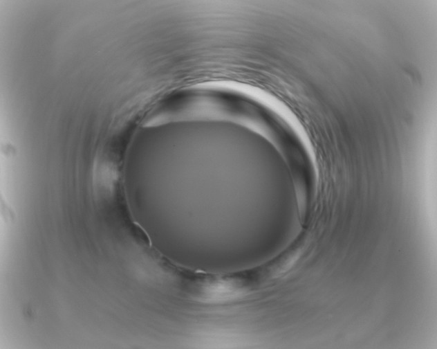 X0000091200235200708091312