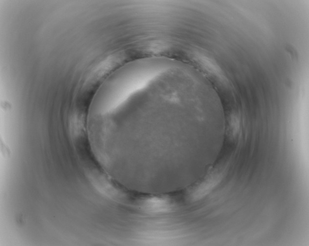 X0000091200236200708091312