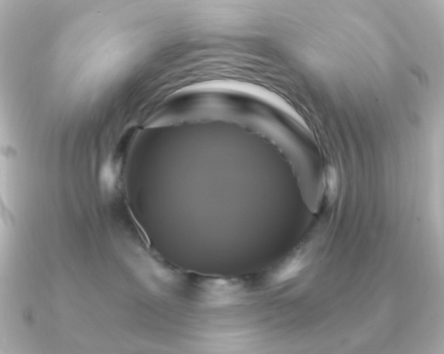 X0000091200239200708091312