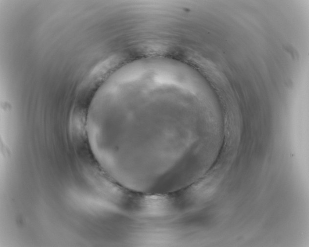 X0000091200240200708091312
