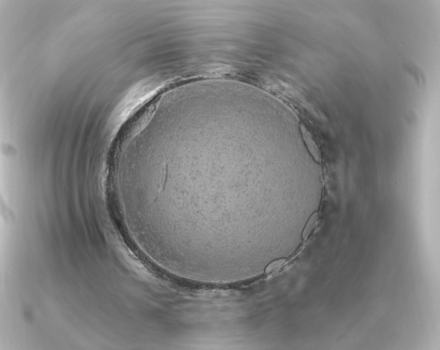X0000091200242200708091312