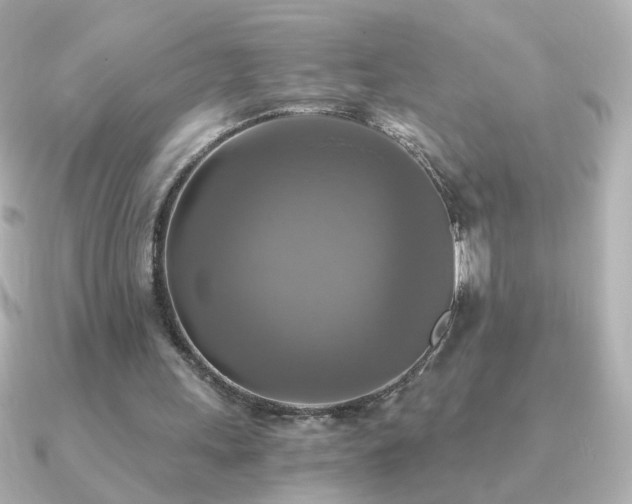 X0000091200243200708091312
