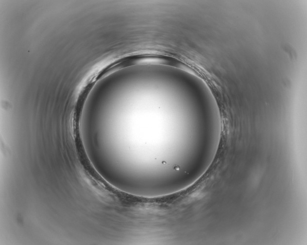 X0000091200244200708091312