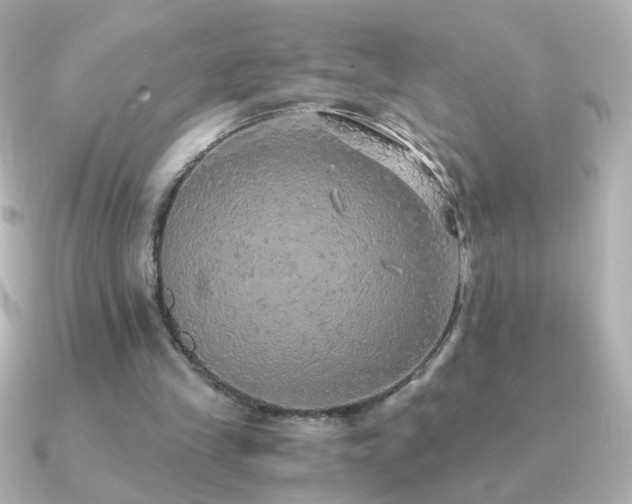 X0000091200245200708091312