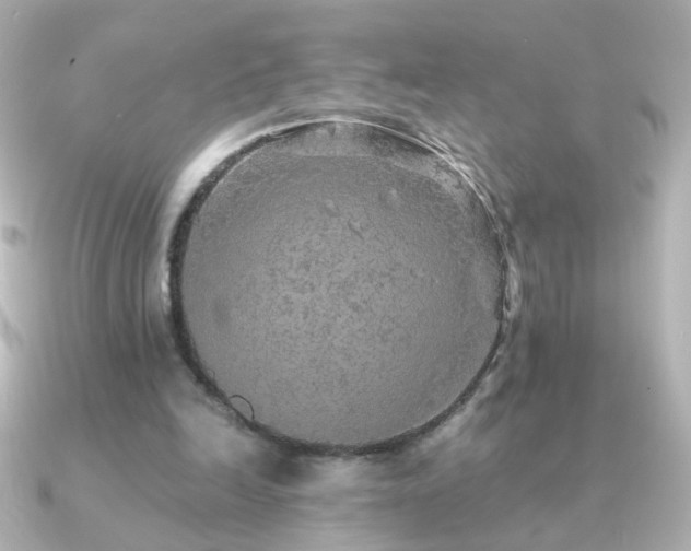 X0000091200246200708091312