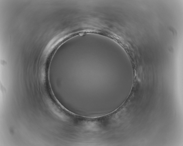X0000091200247200708091312