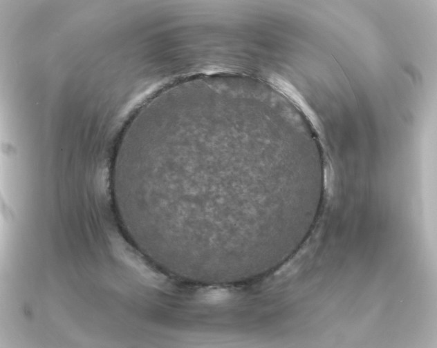 X0000091200249200708091312