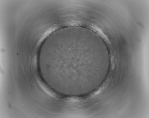 X0000091200250200708091312