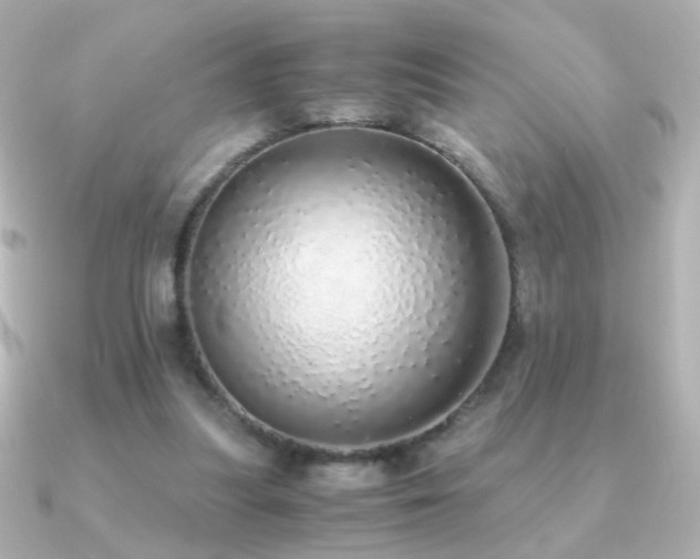 X0000091200251200708091312