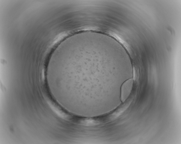 X0000091200253200708091312