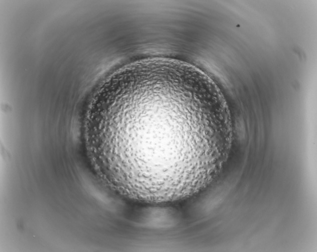 X0000091200255200708091312