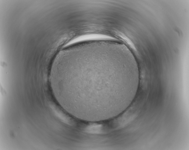 X0000091200257200708091312