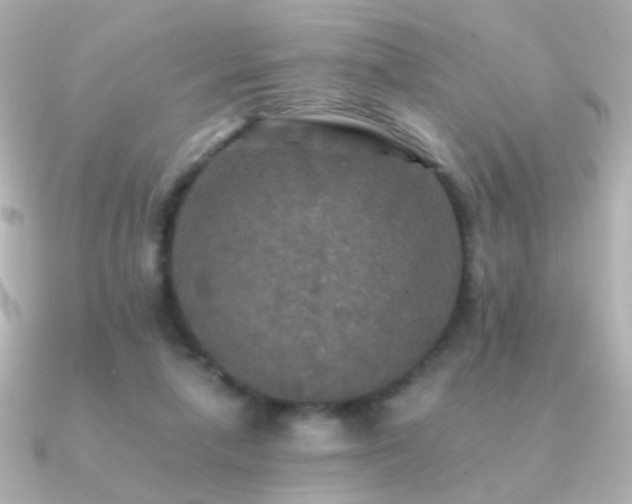X0000091200258200708091312
