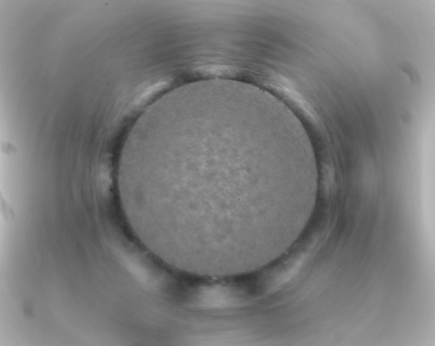 X0000091200259200708091312