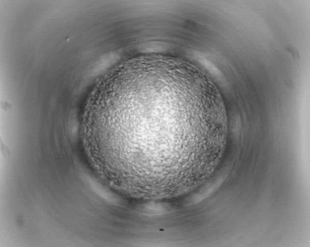 X0000091200261200708091312