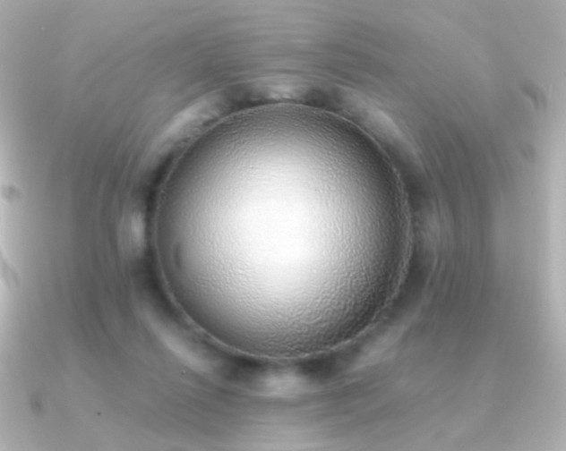 X0000091200262200708091312