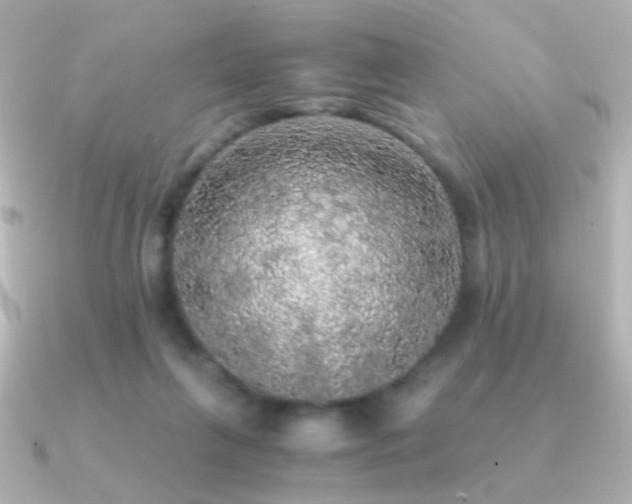 X0000091200263200708091312