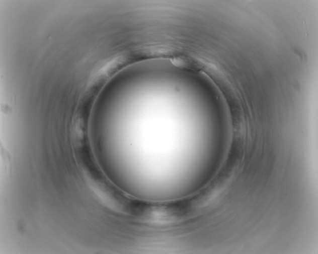 X0000091200264200708091312