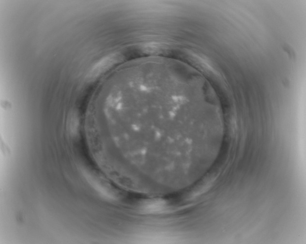 X0000091200266200708091312