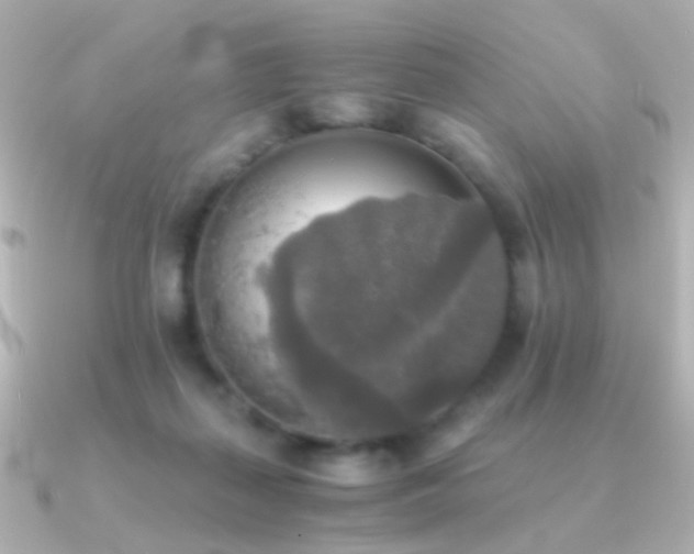 X0000091200267200708091312