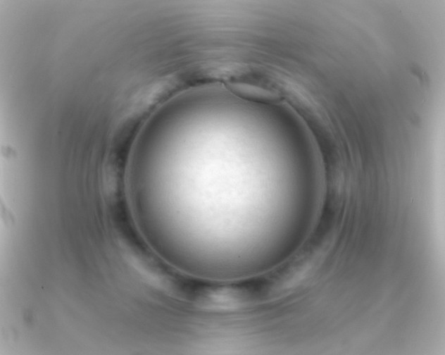 X0000091200268200708091312