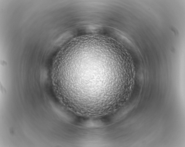 X0000091200270200708091312
