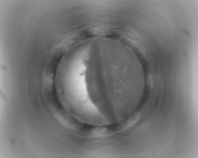 X0000091200271200708091312