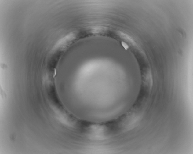X0000091200272200708091312