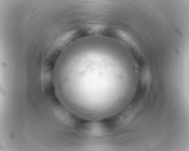 X0000091200276200708091312