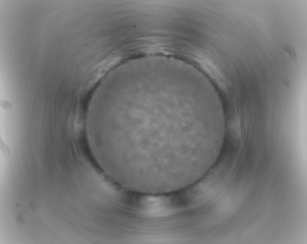 X0000091200277200708091312