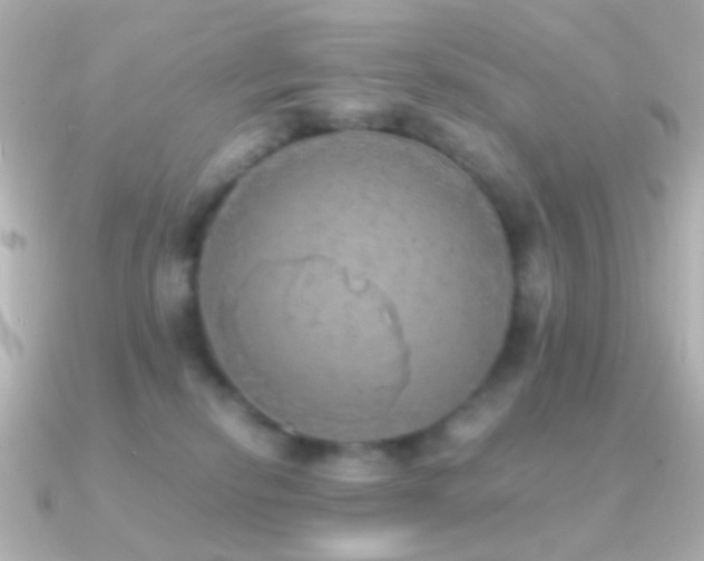 X0000091200278200708091312