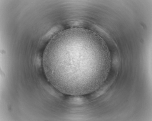 X0000091200282200708091312
