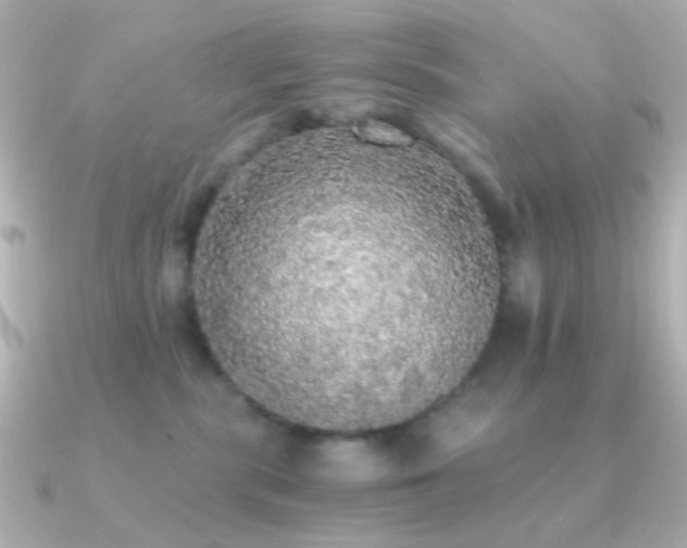 X0000091200283200708091312