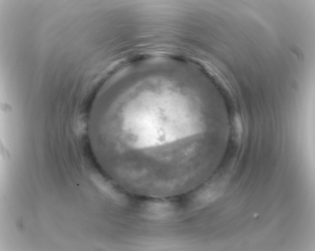 X0000091200284200708091312