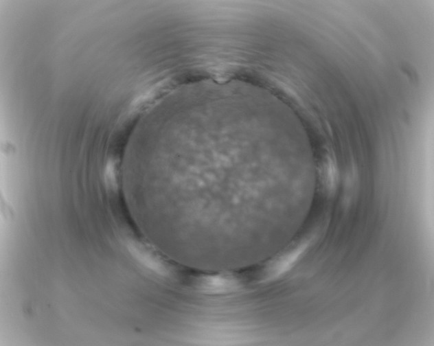 X0000091200286200708091312