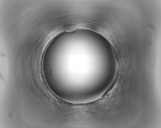 X0000091200289200708091312