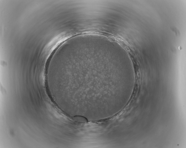 X0000091200290200708091312