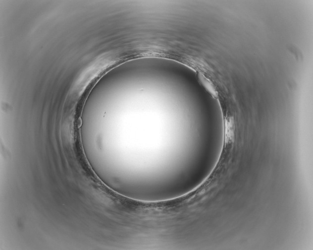 X0000091200291200708091312