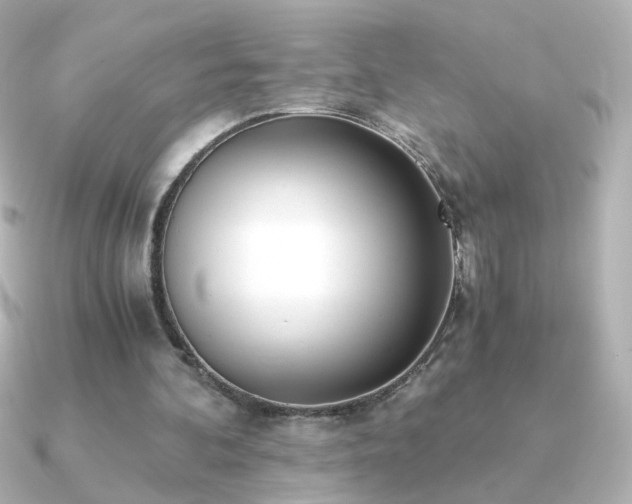 X0000091200292200708091312