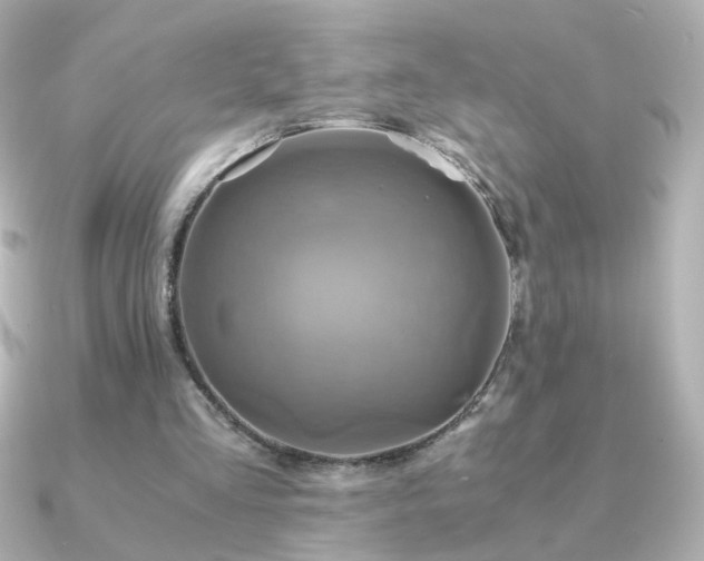 X0000091200293200708091312