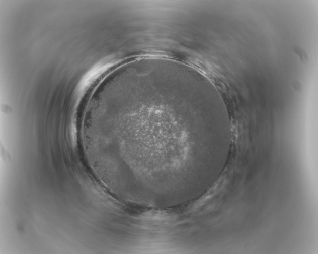 X0000091200294200708091312