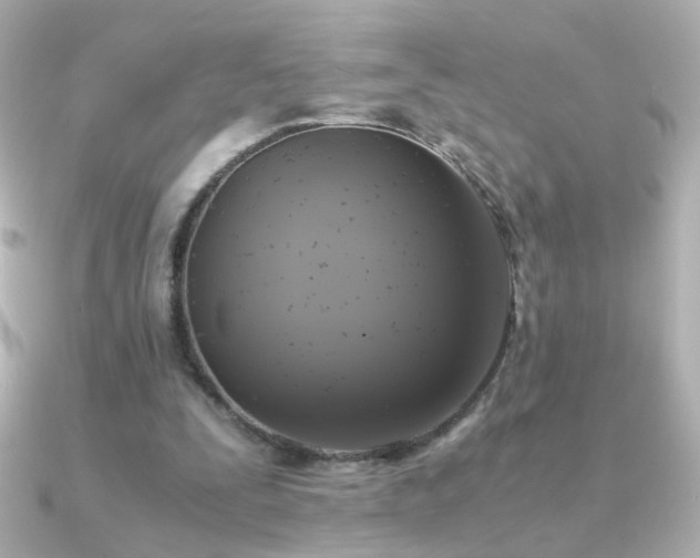 X0000091200295200708091312
