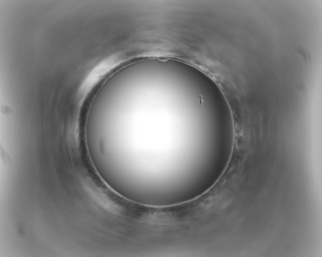 X0000091200296200708091312